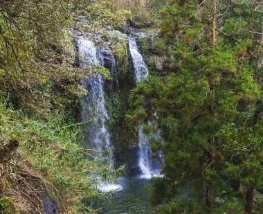 Güzel Çift Kişilik şelale Salto da yeşil yemyeşil yağmur ormanları bitki örtüsü, Sao Miguel, Azores, Portekiz kayalarda üzerinden düşen Farinat
