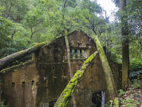 Vista sobre ruinas oxidadas de la antigua fábrica abandonada del siglo XIX Fabrica da Cidade y Fabrica da Vila, perdidas en el bosque con musgo y helechos en la ruta de senderismo Quatro fabricas da Luz. Isla de Sao Miguel, Azores —  Fotos de Stock