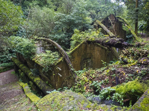 Vista sobre ruinas oxidadas de la antigua fábrica abandonada del siglo XIX Fabrica da Cidade y Fabrica da Vila, perdidas en el bosque con musgo y helechos en la ruta de senderismo Quatro fabricas da Luz. Isla de Sao Miguel, Azores —  Fotos de Stock