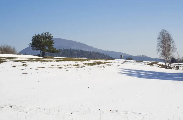 Champ d'hiver et forêt campagne paysage enneigé avec arbres, colline et siège haut en bois dans la montagne luzicke hory — Photo