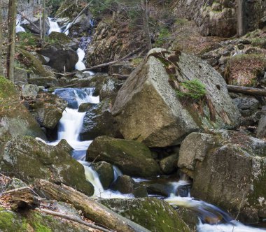 Jizerske hory uzun pozlama waterfal çağlayan, Jizera dağ, Çek Cumhuriyeti Cerny Stolpich siyah dere üzerinde orman, yeşil yosunlu taşlar, eğrelti otları ve ağaçlar