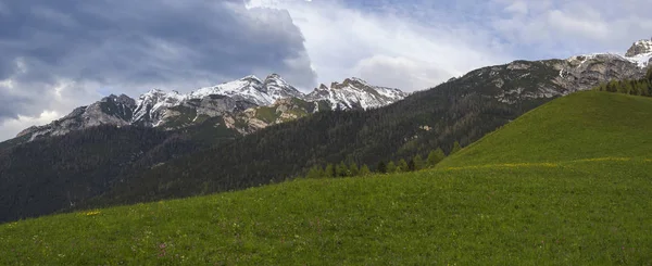Paisaje panorámico de prado verde de primavera con flores y árboles florecientes, bosque y pico de montaña cubierto de nieve en el valle de Stubai, nubes dramáticas.Neustift im Stubaital Tyrol, Alpes austríacos —  Fotos de Stock