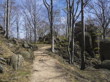 kayalar, kayalar ve plaj ağacı orman, canlı bahar yeşil, mavi gökyüzü arka plan ile boş bej kum patika yol