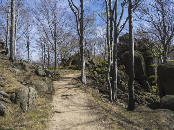 kayalar, kayalar ve plaj ağacı orman, canlı bahar yeşil, mavi gökyüzü arka plan ile boş bej kum patika yol