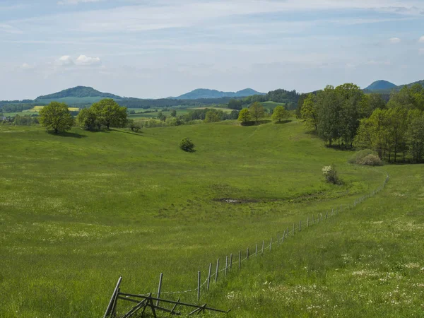 Idilliaco paesaggio primaverile montagne lucitane, con lussureggiante prato verde erba, fresca foresta di latifoglie e abeti rossi, colline, cielo blu nuvole bianche sfondo, orizzontale, spazio copia — Foto Stock