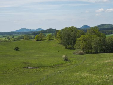 yemyeşil yeşil çim çayır, taze yaprak döken ve Ladin ağacı orman, hills, mavi gökyüzü beyaz bulutlar arka plan, yatay, kopya alanı ile pastoral bahar peyzaj lucitian Dağları