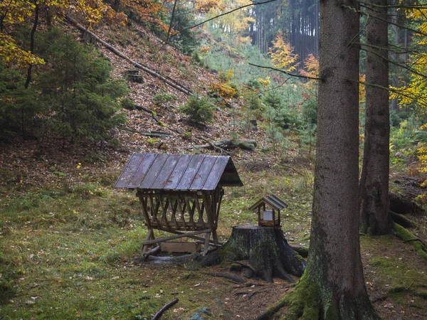 Mangeoire en bois ou mangeoire pour animaux sauvages dans la forêt. Abreuvoir avec foin pour sangliers, cerfs et oiseaux dans la forêt atumn . — Photo