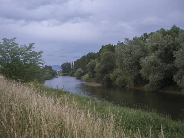 在斯洛伐克利普托夫斯卡马拉湖附近的利普托夫斯基米库拉斯,瓦河与树木、草和簧片接壤。夏季早晨 — 图库照片