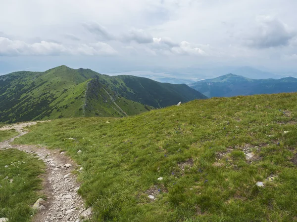 Batı Tatra Dağları veya Rohace Panoraması güzel dağ manzarası. Tepede yürüyüş parkuru ile keskin yeşil çimenli dağ doruklarına. Yaz mavi gökyüzü beyaz bulutlar. — Stok fotoğraf