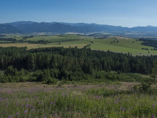 Valle de la montaña con prado, bosque, archivos verdes y con laderas brumosas azules de montañés de tatra bajo en la distancia. visto desde el sendero de montaña occidental de Tatras. Cielo azul de verano, Eslovaquia . — Foto de Stock