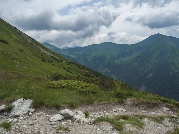 Yemyeşil çimenler, cüce bodur çam ve çıplak dağ zirveleri ile güzel dağ manzarası. Ziarska dolina, Batı Tatras dağları, Rohace Slovakya, yaz dramatik bulutlar gökyüzü arka plan — Stok fotoğraf