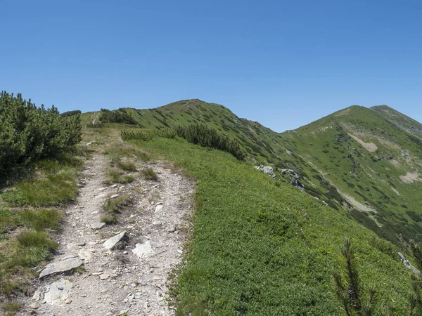 Hermoso paisaje montañoso de montañas occidentales de Tatra o panorama de Rohace. Picos verdes y verdes con matorrales enanos de pino y sendero de senderismo en la cresta. Fondo cielo azul verano — Foto de Stock