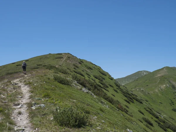Hermoso paisaje de montaña de las montañas occidentales de Tatra o Rohace con los hombres excursionista con mochila sendero de senderismo en la cresta. Picos rocosos verdes agudos de la montaña con el pino del matorral. Cielo azul de verano — Foto de Stock