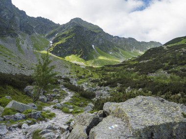 Kaya kayalar, patika Trail, cüce fırçalama çam ve yeşil dağ zirveleri ile güzel dağ Vadisi smutna Dolina. Batı Tatras Dağları, Rohace Slovakya, yaz, mavi gökyüzü arka plan