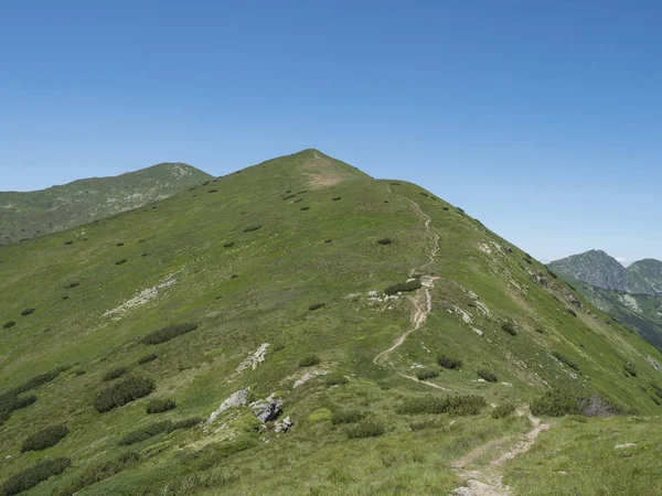 Hermoso paisaje de montaña de las montañas occidentales de Tatra o Rohace con sendero de senderismo en la cresta. Picos rocosos verdes agudos de la montaña con el pino del matorral y el prado alpino de la flor. Cielo azul de verano — Foto de Stock