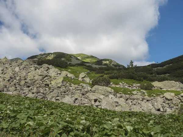 바위 바위, 산책로 트레일, 난쟁이 스크럽 소나무와 녹색 산 봉우리와 아름다운 산 계곡 Smutna dolina. 서부 타트라스 산맥, 로하스 슬로바키아, 여름, 푸른 하늘 배경 — 스톡 사진