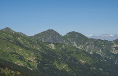 Batı Tatra dağları veya Rohace dağ manzarası baranec üzerinde yürüyüş parkurundan ostry rohac iki zirveleri manzaralı. Scrub çam ve alp çiçeği ile keskin yeşil çimenli kayalık dağ zirveleri