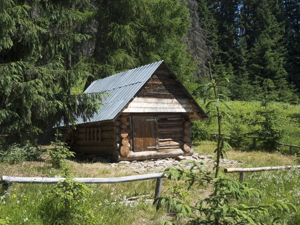 Slovakiet, Western Tatra bjerg, juli 3, 2019: træ bundet hus sommerhus Koliba Horica i begyndelsen af Uzka dolina dal, skov baggrund, sommer - Stock-foto
