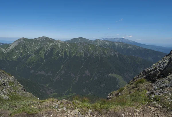 Horská krajina západních Tatra hor nebo Rohace s výhledem na Vysoké Tatry s vrcholem Krivan od turistické stezky na Baranec. Ostře zelené travnaté skalní vrcholy s křovinami a alpskými — Stock fotografie