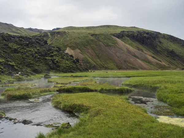 Vista de la zona geotérmica con aguas termales naturales, baños termales en el camping Landmannalaugar, Islandia. Pradera de hierba, campos de lava y montañas en el fondo — Foto de Stock