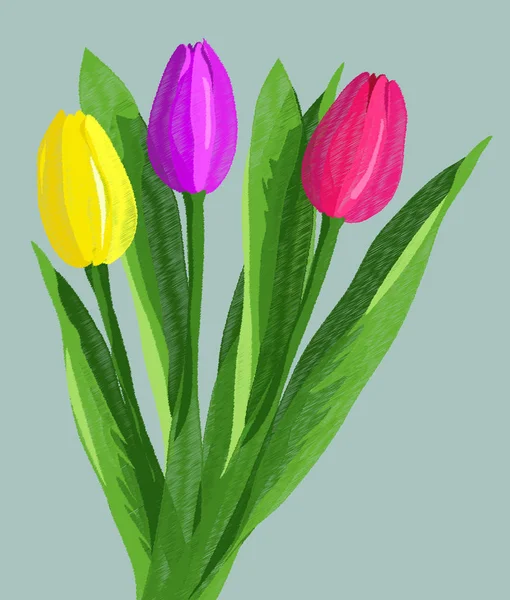 Ramo de tulipanes rojos, morados y amarillos dibujados a mano con lavabos verdes aislados sobre fondo azul. Ilustración vectorial en color chalkoal estilo vintage. Boceto. Diseño de flor para tarjetas de felicitación — Vector de stock