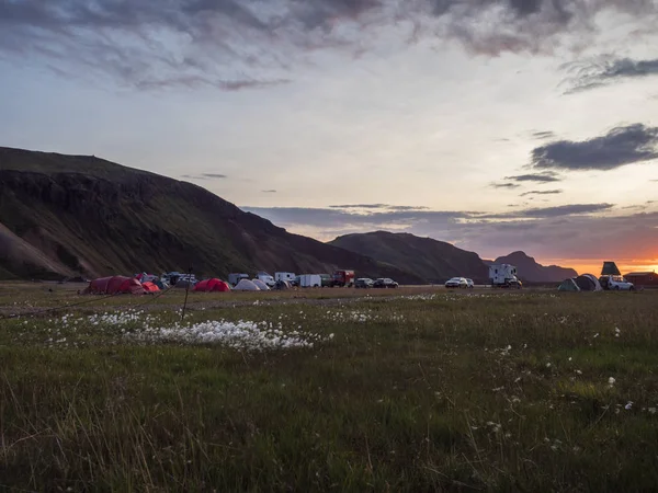 Islandia, Landmannalaugar, 31 de julio de 2019: Hermoso amanecer rojo púrpura en la montaña Landmannalaugar en el área del camping con flores blancas y tiendas de campaña. Reserva Natural de Fjallabak en la región de Highlands de — Foto de Stock