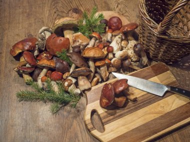 Yenilebilir mantar boletusu ahşap kırsal masaya hasır sepetle, tahta kesme tahtasıyla, bıçakla ve yeşil ladin dalıyla kapatılır. Lezzetli organik mantar yemekleri pişirip hazırlamak. Sonbahar Cep