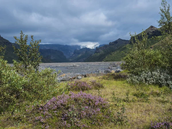 IJslandse landschap van Godland met Krossa rivier canyon, groene scherpe heuvels, bloeiende roze heide bloem en Myrdalsjokull gletsjer tong in mist. Uitzicht vanaf Basar camping start van Fimmvorduhals trek. — Stockfoto