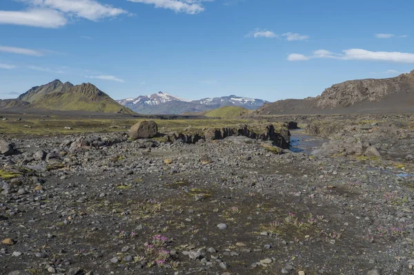 Islandská krajina s kaňonem řeky Innri-Emstrura a pohled na Tindfjallajokull ledovec hory a zelené kopce. Přírodní rezervace Fjallabak, Island. Letní modré nebe — Stock fotografie