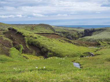 Skoga nehir vadisinin güzel yemyeşil manzarası Skogar yakınlarında deniz ufkunda, Fimmvorduhals yürüyüş yolunun sonunda. Güney İzlanda, Yaz masmavi gökyüzü