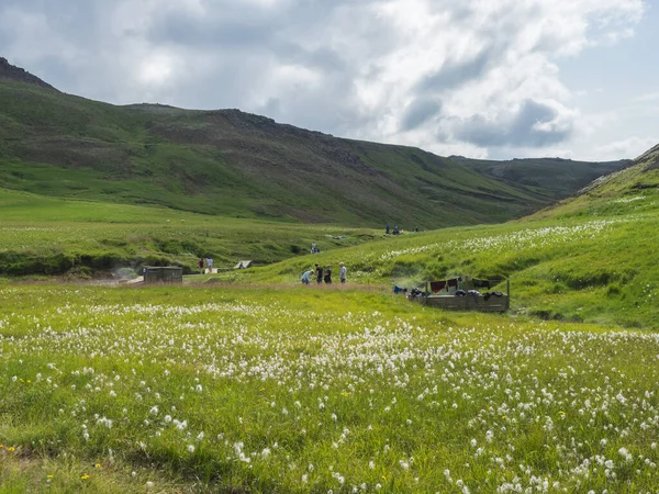 Valle de Reykjadalur con aguas termales río y piscina con exuberante prado de hierba verde y colinas con vapor geotérmico. Islandia del Sur cerca de la ciudad de Hveragerdi. Mañana soleada de verano, cielo azul . — Foto de Stock