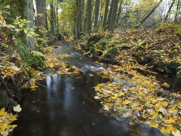 Lange Belichtung magischen Waldbach Kaskade Bach im Herbst mit Steinen, Moos, Farnen und bunten abgefallenen Blättern und Bäumen in luzicke hory lusitian Mountain in der Tschechischen Republik — Stockfoto