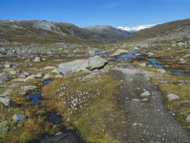 Kırmızı Krossbu turizm istasyonu dağ kulübesinde sonbahar manzarası. Yürüyüşten buzullara kadar uzanan binalar. Mavi dereli Smorstabbreen, karlı dağlar, turuncu yosun ve Jotunheimen Ulusal Par 'daki çalılıklar.