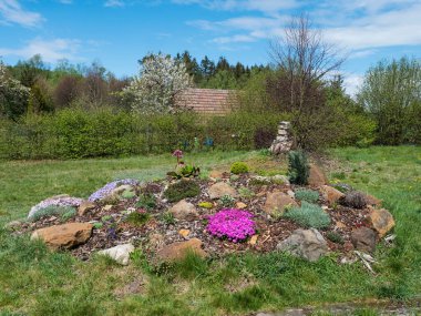 Pembe Phlox subulata, Armeria maritima, deniz turşusu, Bergenia ya da fil kulağı, karanfil ve daha bir sürü renkli çiçekle dolu bahar bahçesine bakın..