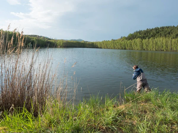 Mosca pescador pescador de pie en la orilla de aguas tranquilas del lago del bosque, estanque de peces Kunraticky rybnik con abedules y abetos que crecen a lo largo de la orilla. Fondo de pesca naturaleza. Primavera —  Fotos de Stock