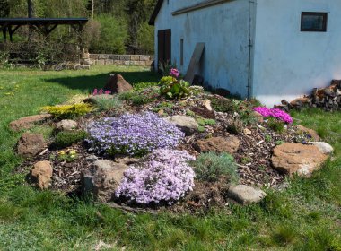 Pembe Phlox, Armeria maritima, deniz bitkileri, Bergenia ya da fil kulakları, karanfil ve diğer renkli çiçek ve eski ev, çardak ya da pergola ile dolu bahar bahçesi