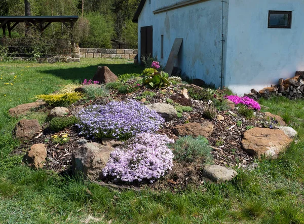 Lentetuin met rotstuin in volle bloei met roze Phlox, Armeria maritima, zeezucht, Bergenia of olifanten oren, anjer en andere kleurrijke bloeiende bloemen en oude huis, prieel of pergola — Stockfoto