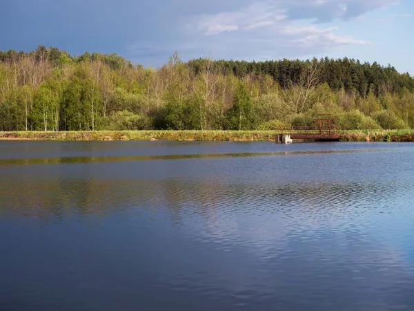 Blick auf das ruhige Wasser des Waldsees, Fischteich Kunraticky rybnik mit Damm Pier, Birken und Fichten wachsen am Ufer und klaren blauen Himmel in goldenem Sonnenlicht. Natur im Hintergrund. Frühlingslandschaft — Stockfoto