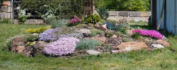 Panaramischer Blick auf den Frühlingsgarten mit schönem Steingarten in voller Blüte mit rosa Phlox subulata, Armeria maritima, Seefieber, Bergenie, Nelke und anderen bunten blühenden Blumen. — Stockfoto