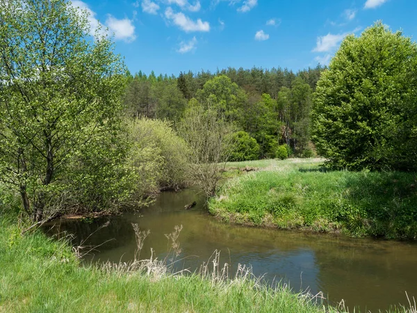Idilli táj kanyargós folyó patak meander buja zöld rét lombhullató fa erdő, kék ég háttér. Késő tavaszi napsütéses délután, élénk színek — Stock Fotó