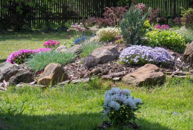 Pembe Phlox, Armeria maritima, deniz ürünleri, Bergenia ya da fil kulakları, karanfil ve diğer renkli çiçeklerle dolu güzel bir bahçe.
