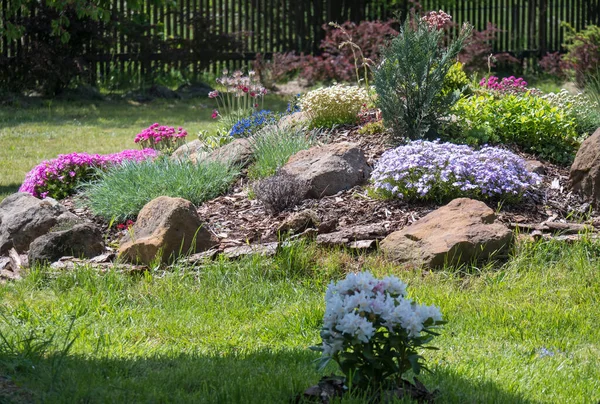 Tavaszi kert gyönyörű sziklakert teljes virágú rózsaszín Phlox, Armeria maritima, tengeri takarékos, Bergenia vagy elefánt fülek, szegfű és egyéb színes virágzó virágok — Stock Fotó