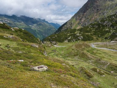 Avusturya 'nın Stubai Tyrol kentindeki yeşil dağlık vadideki Freigerbach akıntısının yaz manzarası