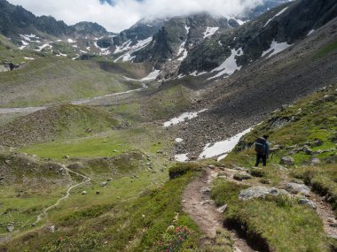 Stubai yürüyüş parkurunda yalnız adam yürüyüşçüsü, Stubai Hohenweg, Avusturya 'nın Stubai Tyrol kentindeki yeşil yaz dağları vadisinde.