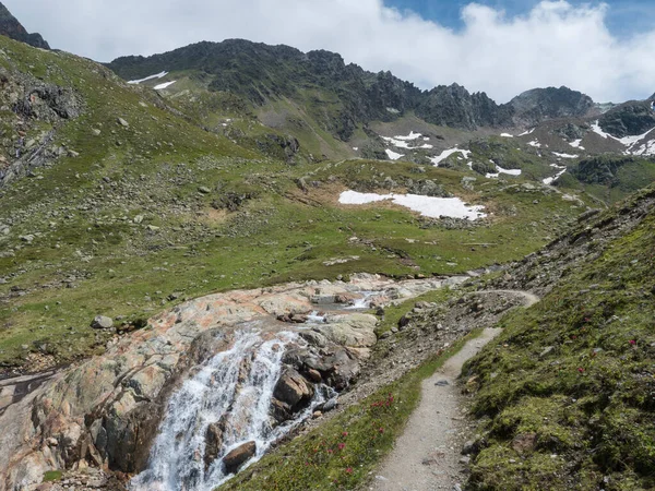 Καλοκαίρι άποψη της διαδρομής πεζοπορίας Stubai με χιονισμένο βουνό κορυφή, καταρράκτη freigerbach ρεύμα, βράχια, πράσινο λιβάδι και ανθίζοντας alpenrose, Tyrol, Stubai Άλπεις, Αυστρία — Φωτογραφία Αρχείου