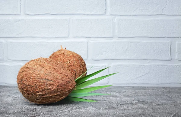 Gesunde Ernährung Frische Kokosnuss Mit Grünen Palmblättern Auf Grauem Betongrund — Stockfoto
