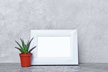 Kırmızı saksıyı küçük kaktüs ve mock-up kopya alanı için poster gri beton zemin üzerine beyaz çerçevesi ile