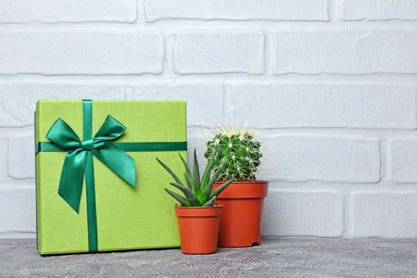 Zelené Klasické Dárkové Krabice Saténovou Mašlí Malé Kaktusy Červené Květináče — Stock fotografie