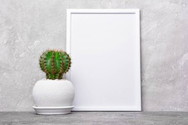 Saksıyı ve kopya alanı için poster gri beton zemin üzerine beyaz çerçevesi mock-up küçük kaktüs
