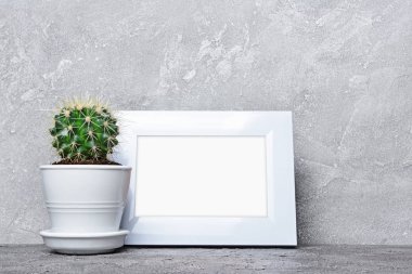 Saksıyı ve kopya alanı için poster gri beton zemin üzerine beyaz çerçevesi mock-up küçük kaktüs
